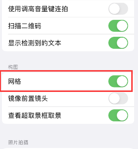 茄子河苹果手机维修网点分享iPhone如何开启九宫格构图功能 