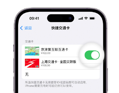 茄子河apple维修点分享iPhone上更换Apple Pay快捷交通卡手绘卡面 