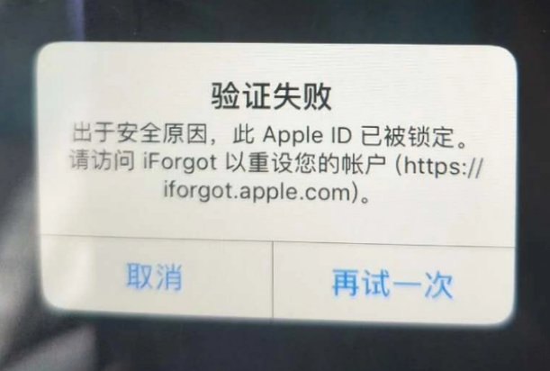 茄子河iPhone维修分享iPhone上正常登录或使用AppleID怎么办 