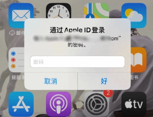 茄子河苹果设备维修分享无故多次要求输入AppleID密码怎么办 