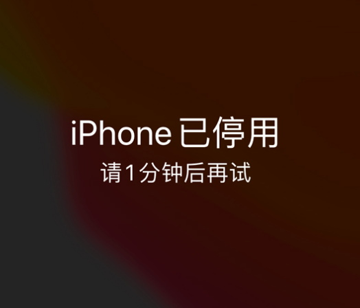 茄子河苹果手机维修分享:iPhone 显示“不可用”或“已停用”怎么办？还能保留数据吗？ 