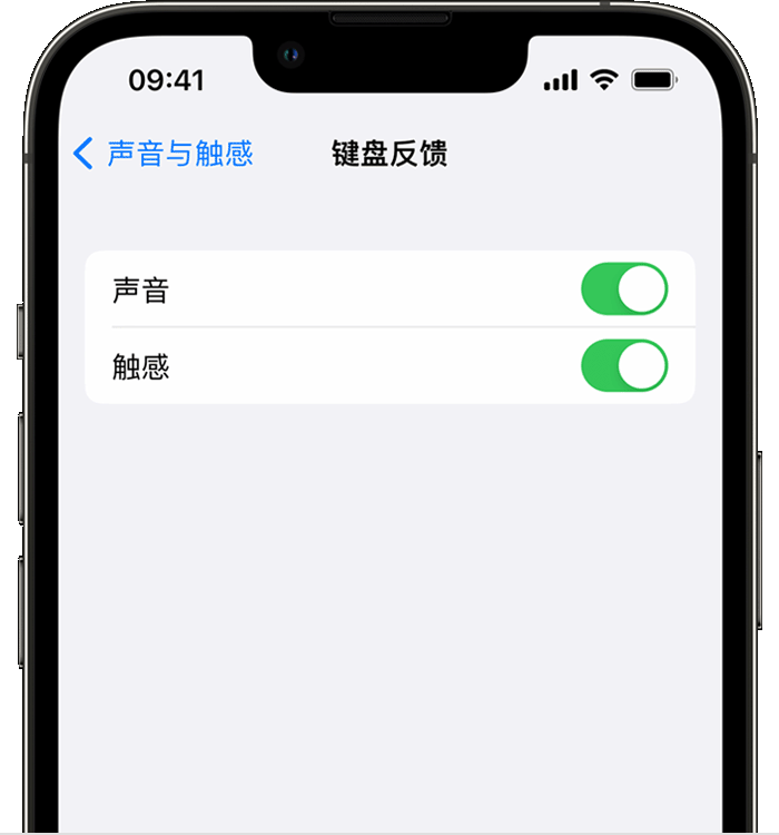 茄子河苹果14维修店分享如何在 iPhone 14 机型中使用触感键盘 