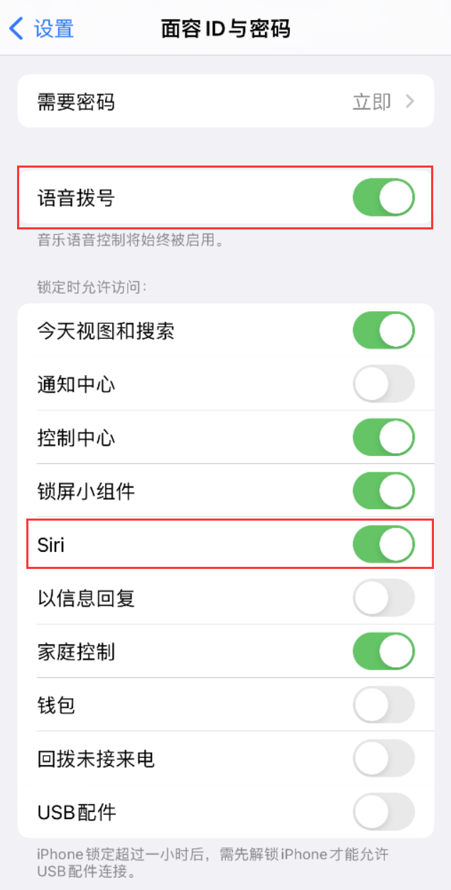 茄子河苹果维修网点分享不解锁 iPhone 的情况下通过 Siri 拨打电话的方法 