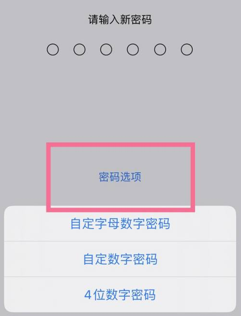 茄子河苹果14维修分享iPhone 14plus设置密码的方法 