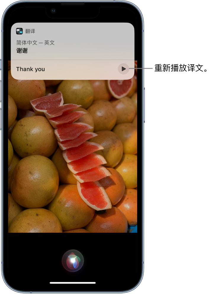 茄子河苹果14维修分享 iPhone 14 机型中使用 Siri：了解 Siri 能帮你做什么 