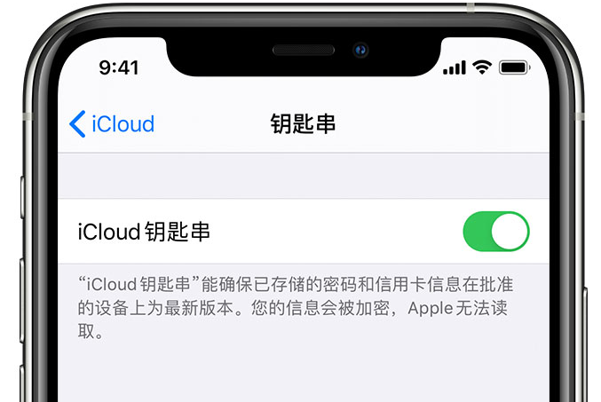 茄子河苹果手机维修分享在 iPhone 上开启 iCloud 钥匙串之后会储存哪些信息 