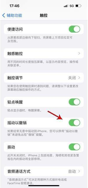 茄子河苹果手机维修分享iPhone手机如何设置摇一摇删除文字 