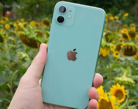 茄子河苹果维修点分享iPhone 11锁屏密码认知与使用科普 